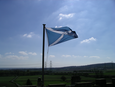 Thumbnail of Scottish Flag.jpg